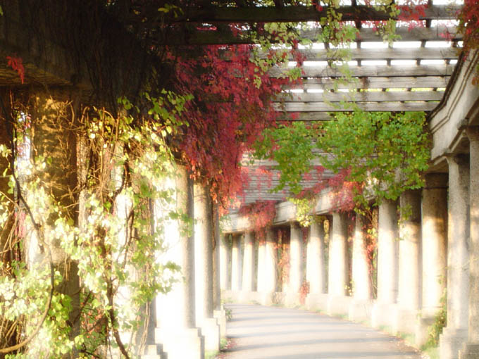 wrocławska pergola