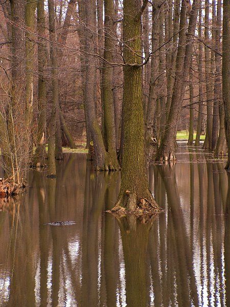 Wrocław, Park Wschodni