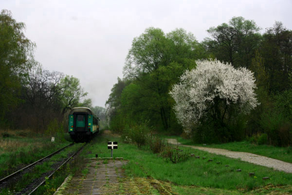 Pociąg do zieleni...