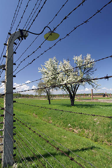 Brzezinka / Birkenau