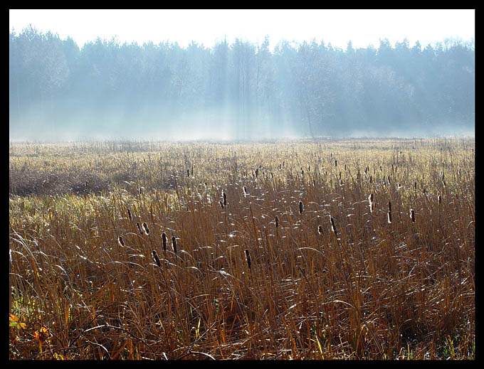 Lądują