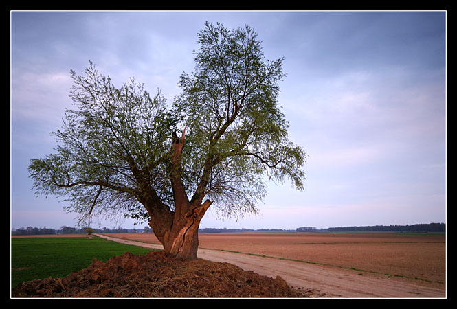 Podlaskie drogi II