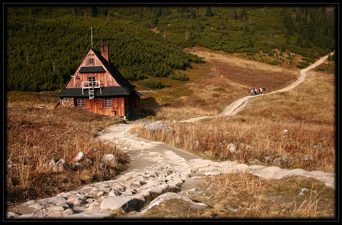 Gąsienicowa