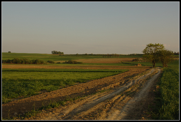 warmia