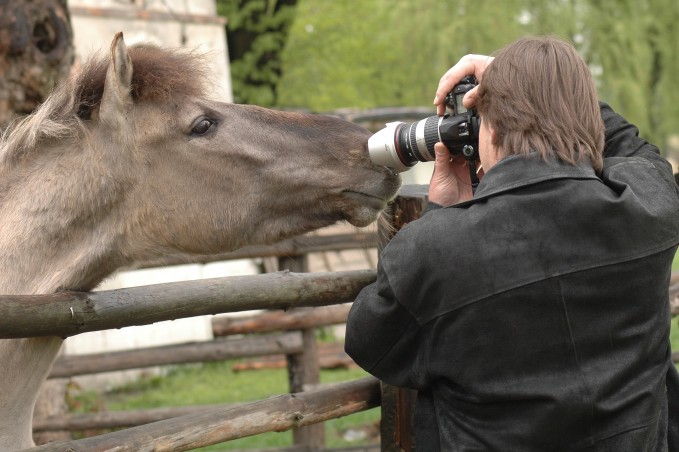 ... i jak tu spokojnie fotografowac ...