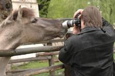 ... i jak tu spokojnie fotografowac ...