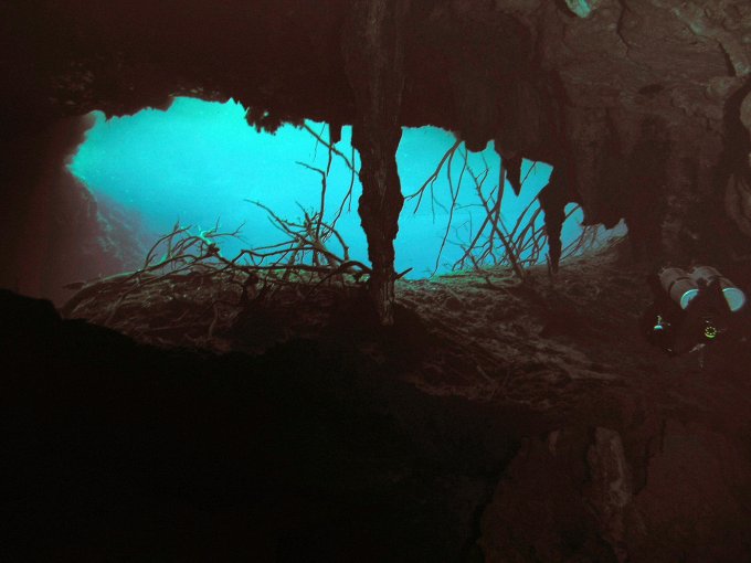 Cenote Aktun Ha - powrót z długiej drogi...