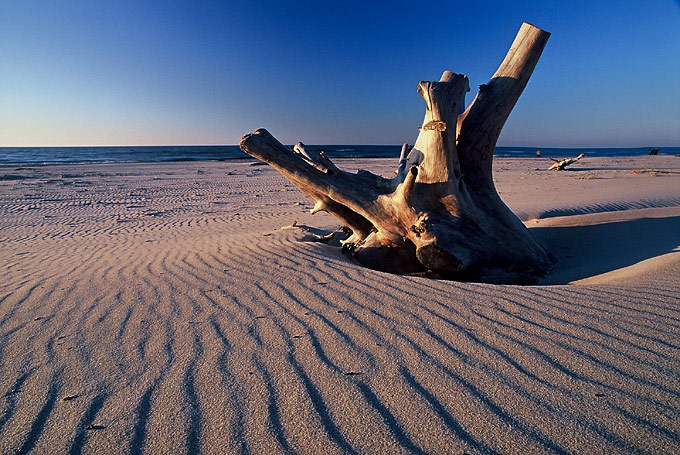 Zapomniana plaża