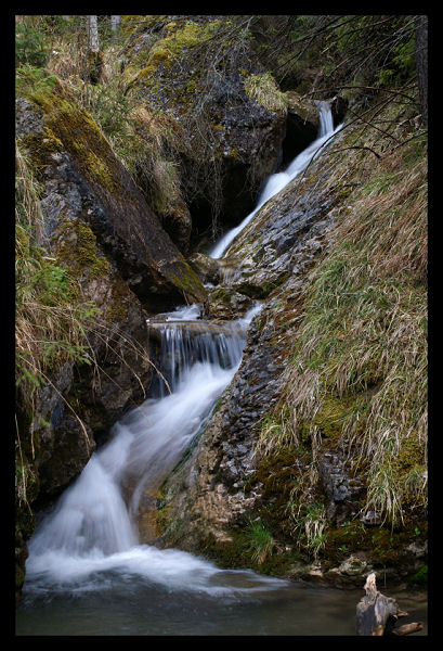 Wąwóz Homole, Pieniny