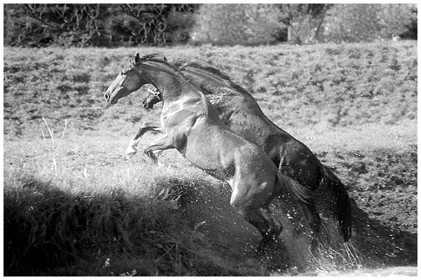 Panków 2006 c.d.