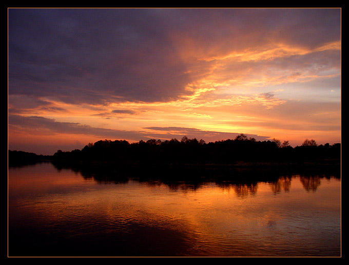 Narew