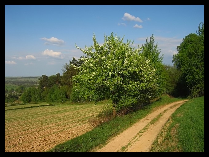 wiejskie klimaty - okolice Zwierzyńca