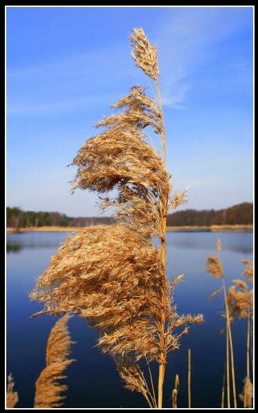 stoję sobie nad wodą