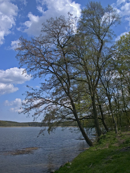 Obrazek z majówki