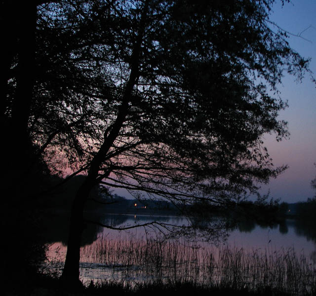 Zapada zmrok nad j. Skrzyneckim