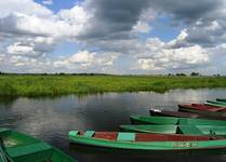 rz. Narew