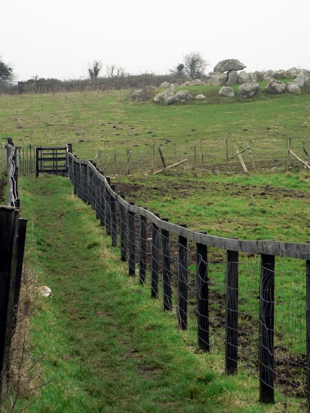 Carrowmore 2