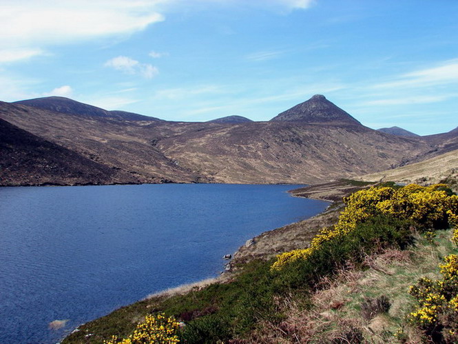 Silent Valley