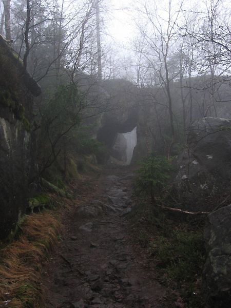 Ścieżka - Góry Stołowe