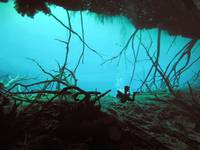 Cenote Aktun Ha - Wyjście