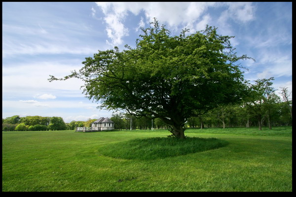 GREEN IRELAND