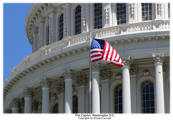 The Capitol, Washington, USA