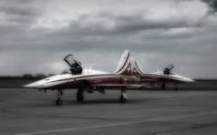 Patrouille Suisse na samolotach Northrop F-5E Tiger II