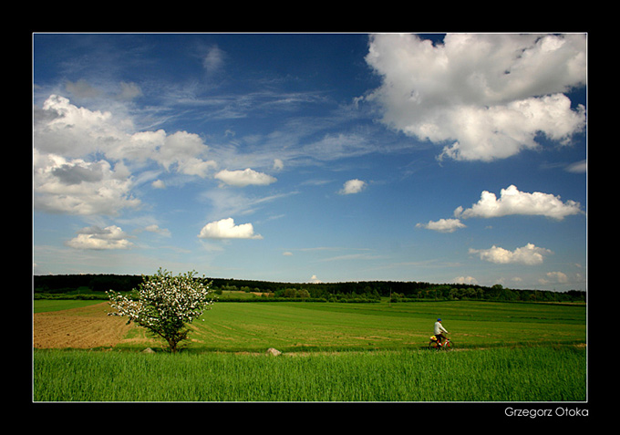 Podlaski pejzaż