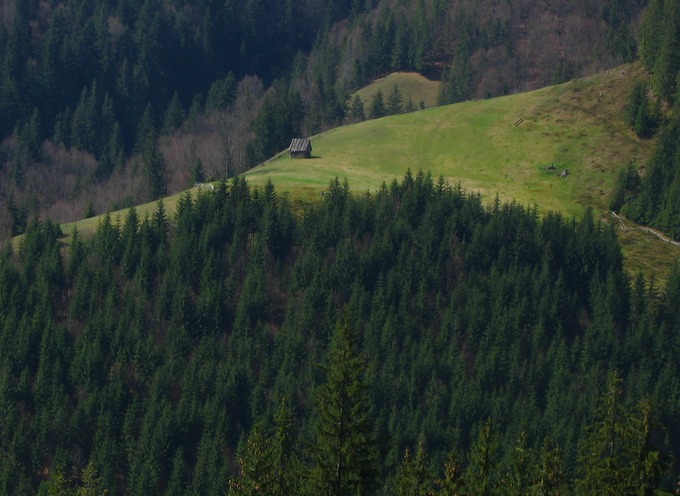 mały domek w górach