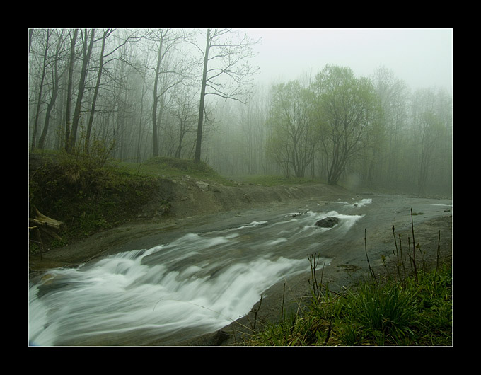 Melancholia wolnym krokiem wychodzi z lasu