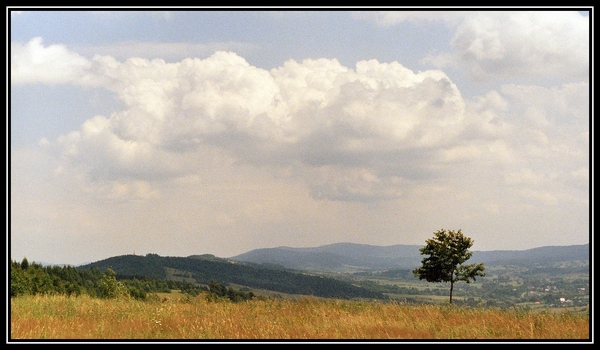 Bieszczady - widok z Małego Króla