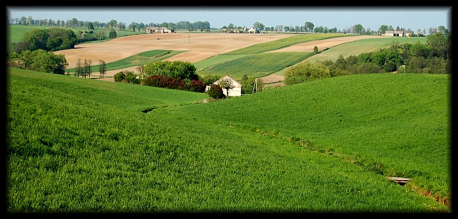 taki skrawek Polski