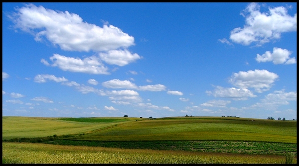 letnia panorama