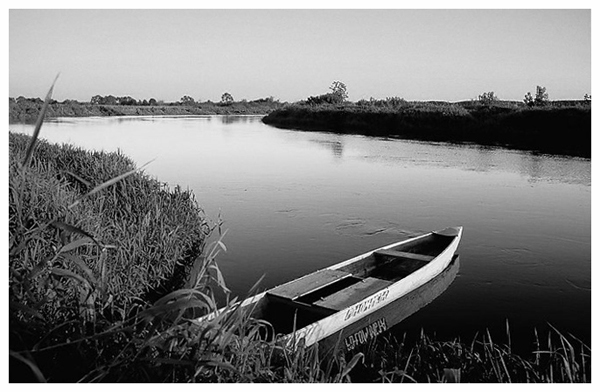 narew