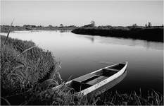 narew