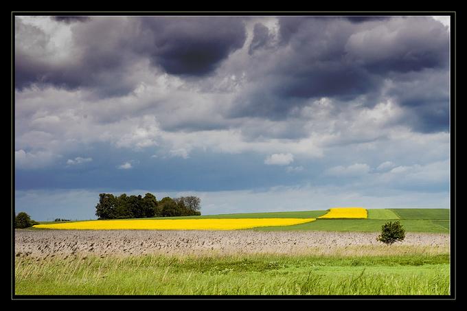 Widok przydrożny