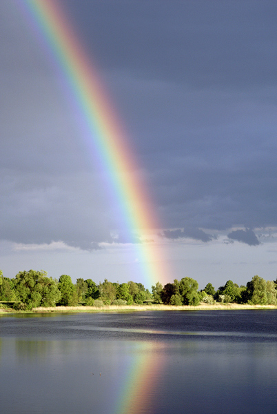 "just rainbow"