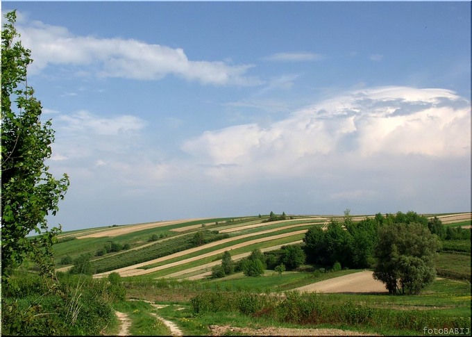 Moje Roztocze tej wiosny