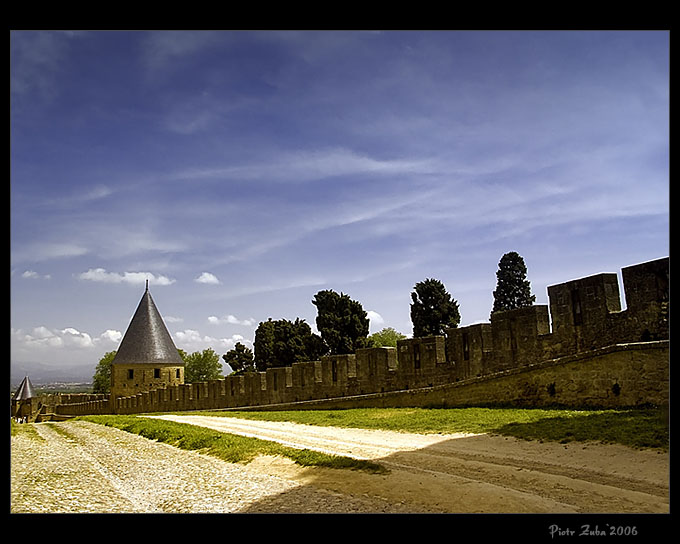 Carcassonne_3