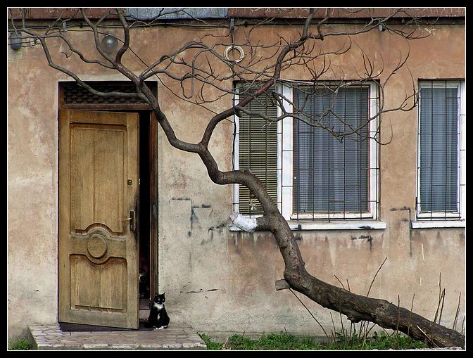 Strażnik