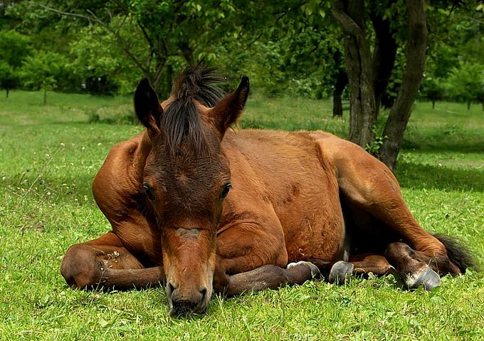 a kto powiedział że trzeba jeść na stojąco...