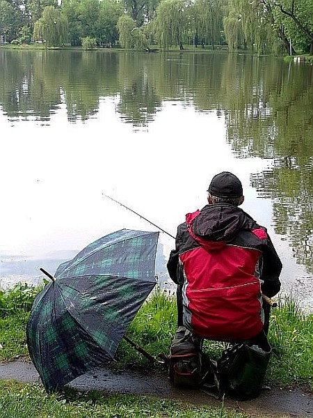 czekając na złotą rybke