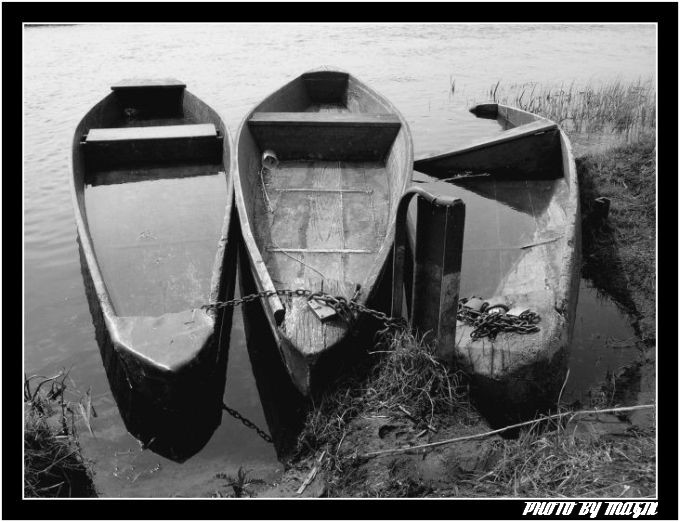 PYCHÓWKI - NAREW - WIOSNA 2006