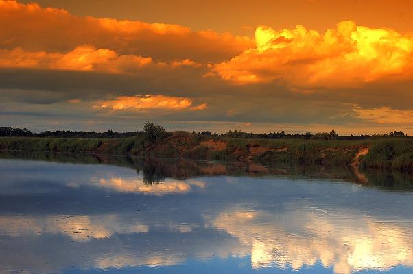 narew okolice Wizny