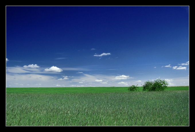 Windows XP