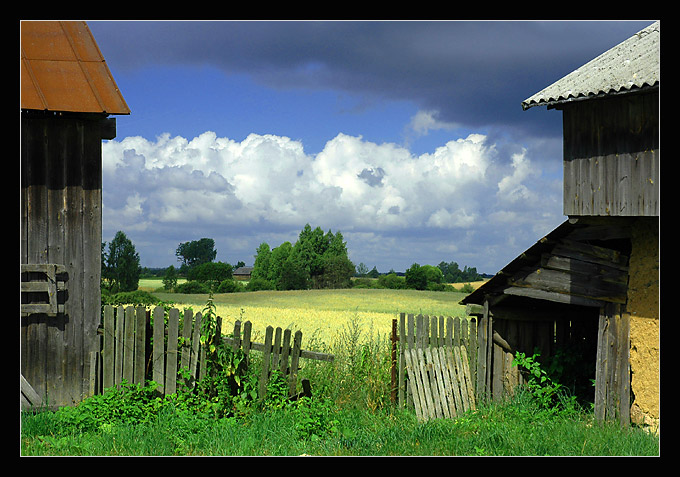 widok na pole