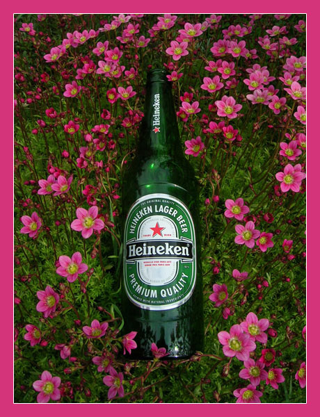 heineken in flowers