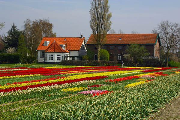 keukenhof