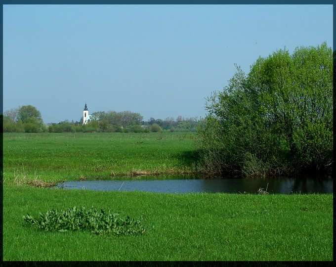 Przed południem II