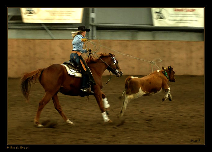 Polski western i rodeo